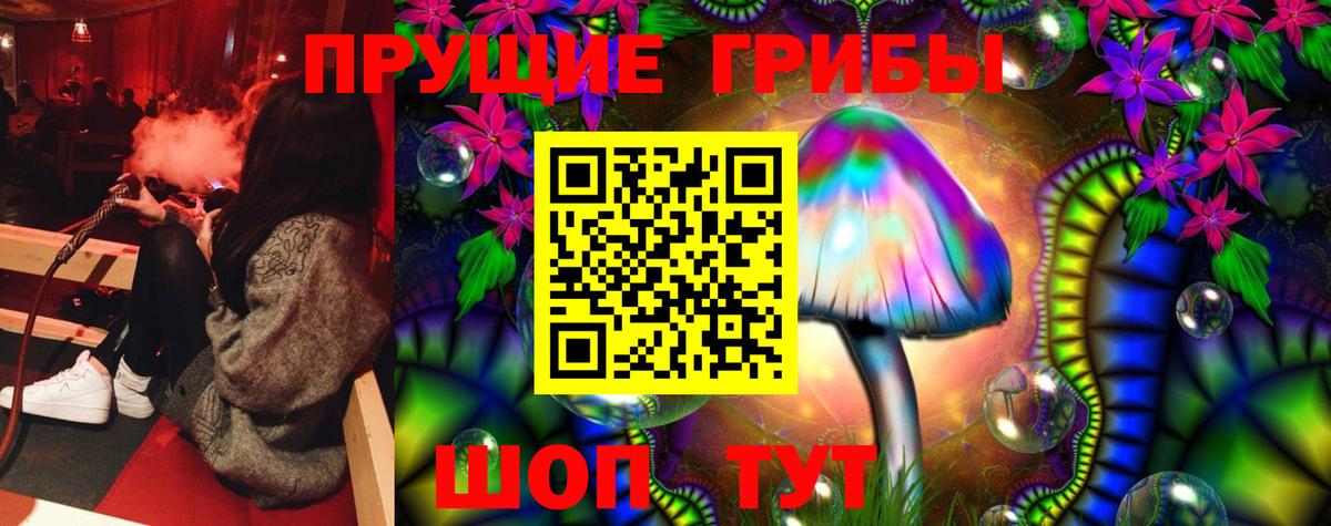 Галлюциногенные грибы GOLDEN TEACHER Торжок