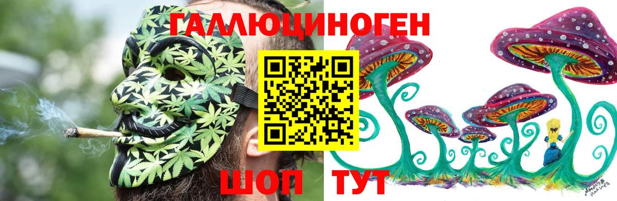 Торжок  Псилоцибиновые грибы Magic Shrooms  Псилоцибиновые грибы Magic Shrooms  Вход с VPN 